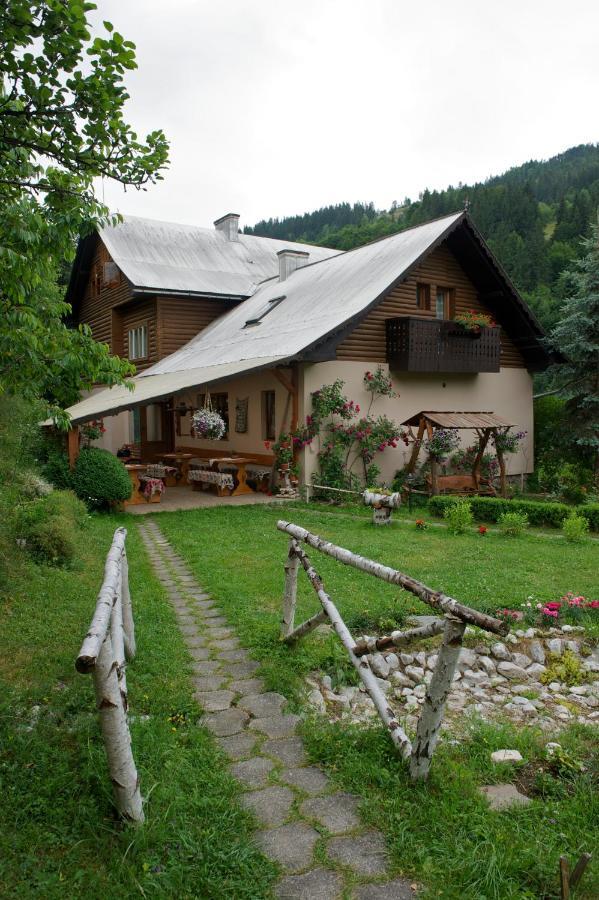 Pensiunea Aurora Albac Exterior photo