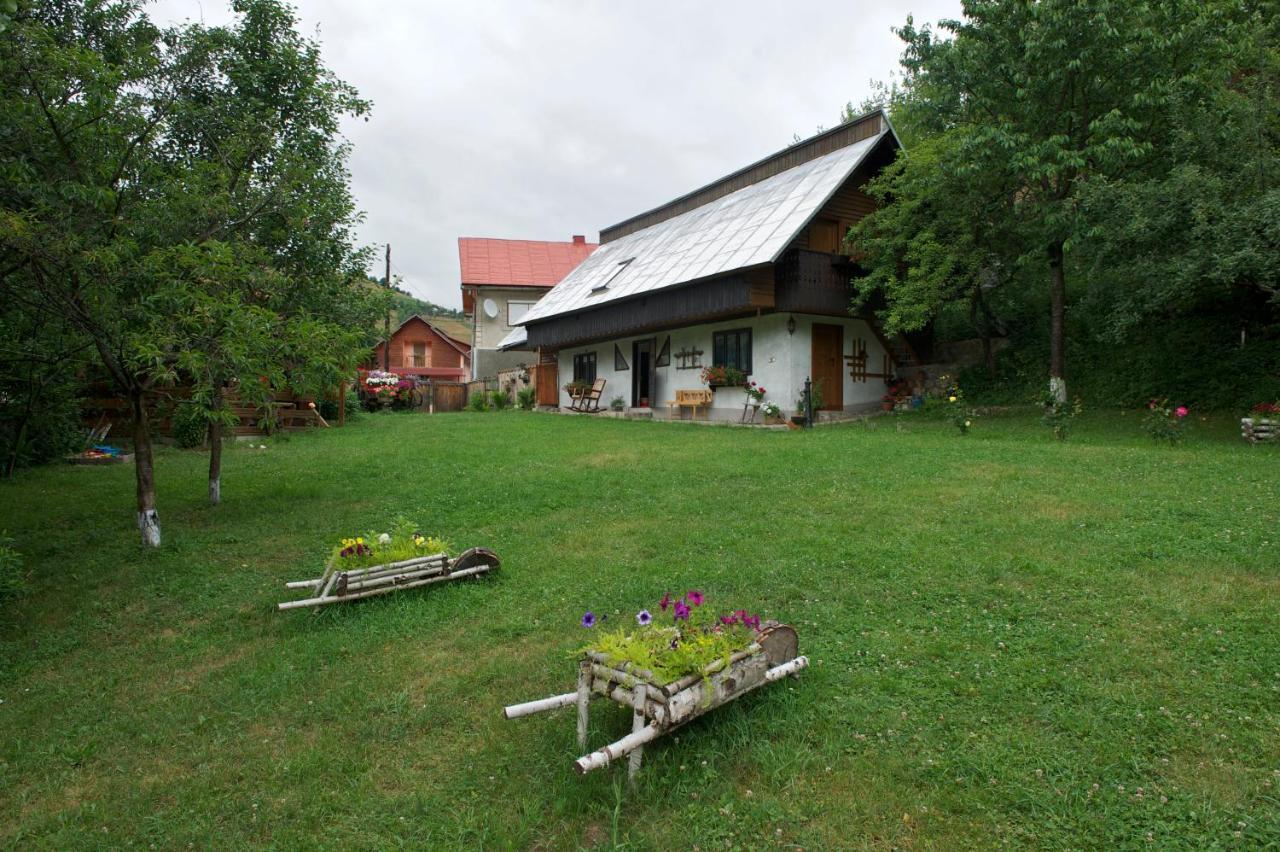 Pensiunea Aurora Albac Exterior photo