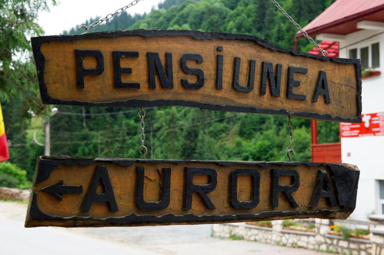 Pensiunea Aurora Albac Exterior photo