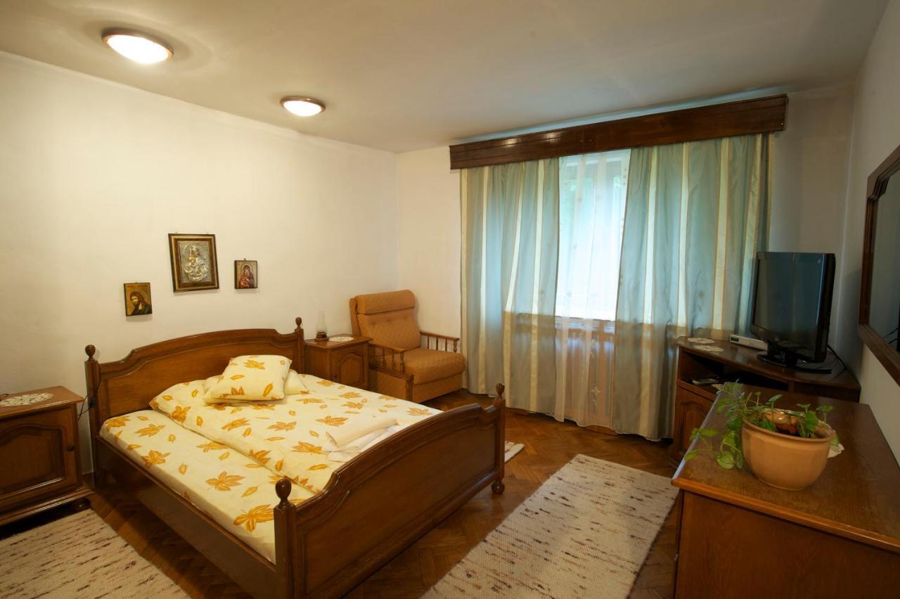 Pensiunea Aurora Albac Exterior photo